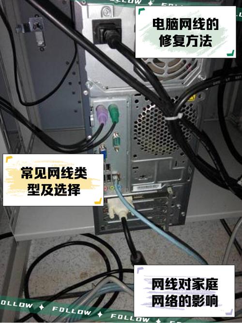 电脑扯网线多少钱