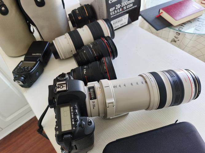 佳能入门级单反有哪些,费用多少(要最近的费用)