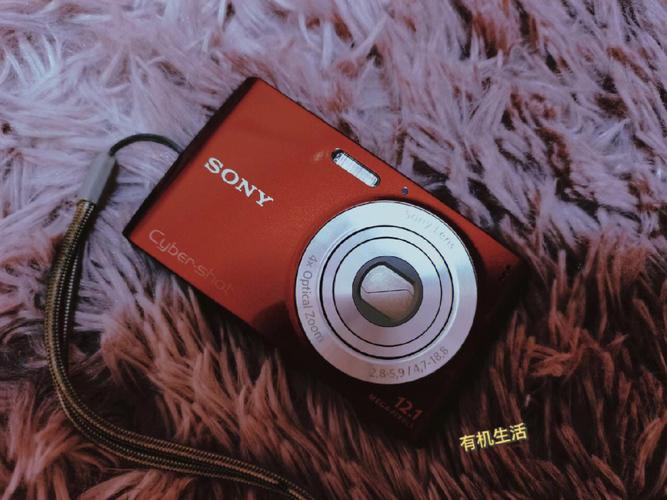 索尼dsc-w310怎样进入录像模式?说清楚具体按那些键。。。