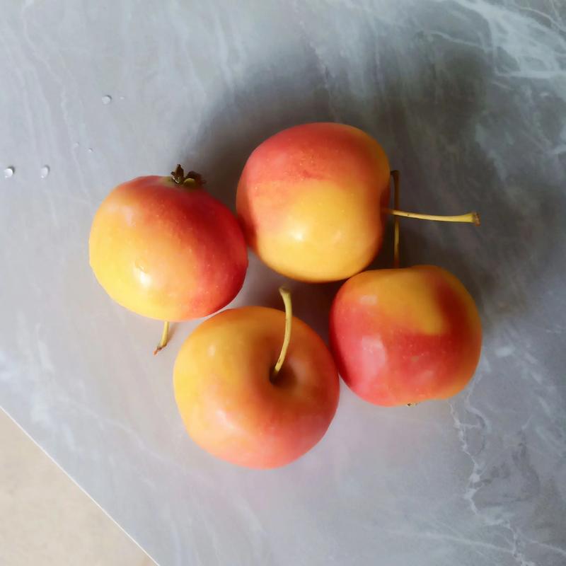 火箭果。是什么水果