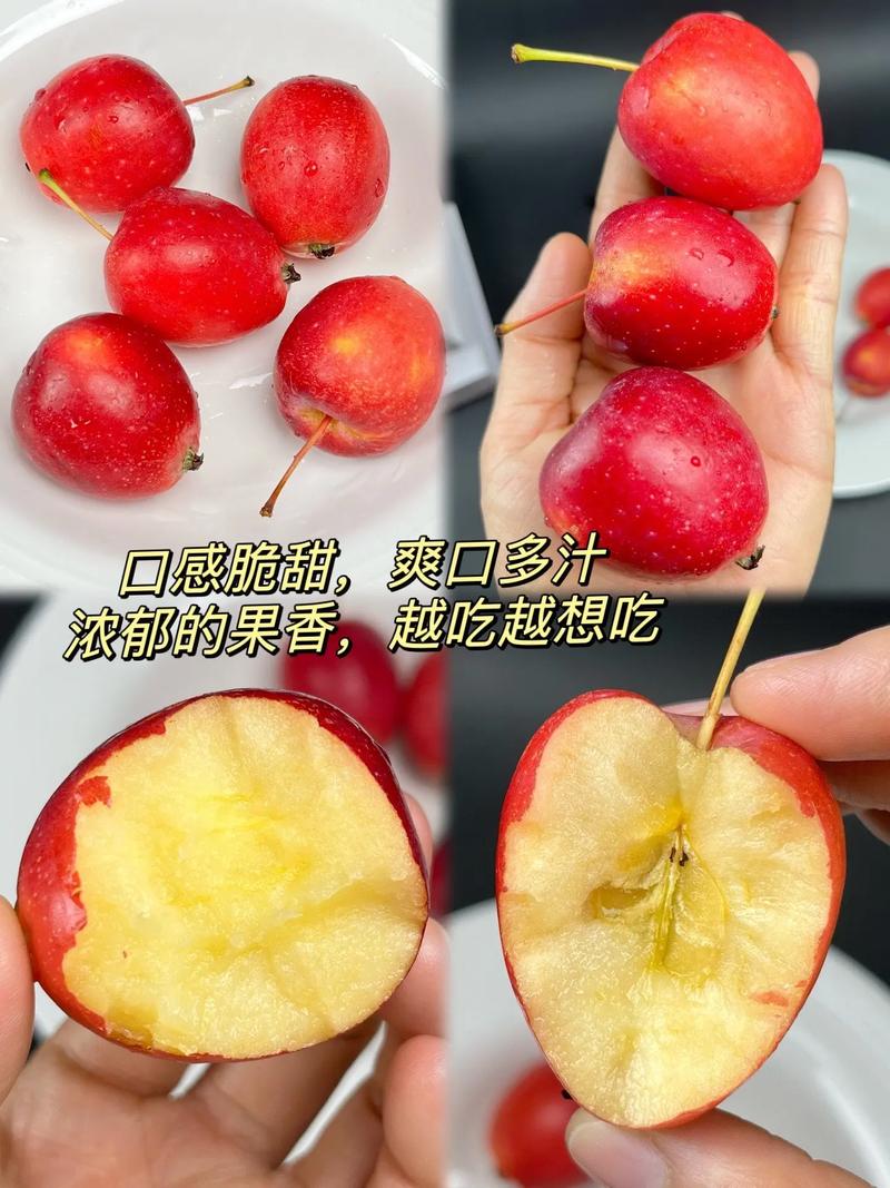 袖珍苹果是什么水果