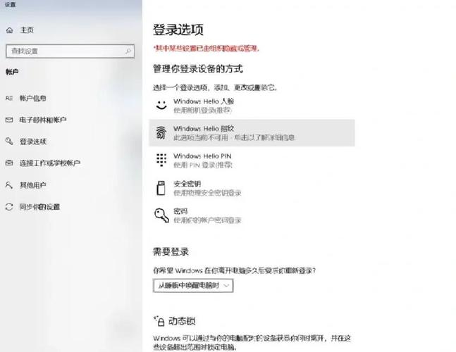 win10家庭版指纹设置为灰色