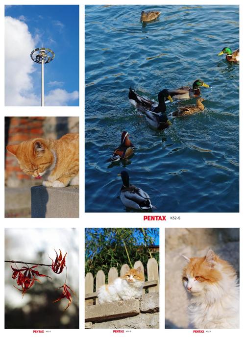 宾得K1配什么镜头