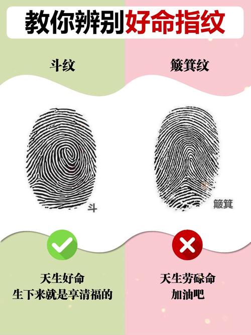 指纹是怎么识别的