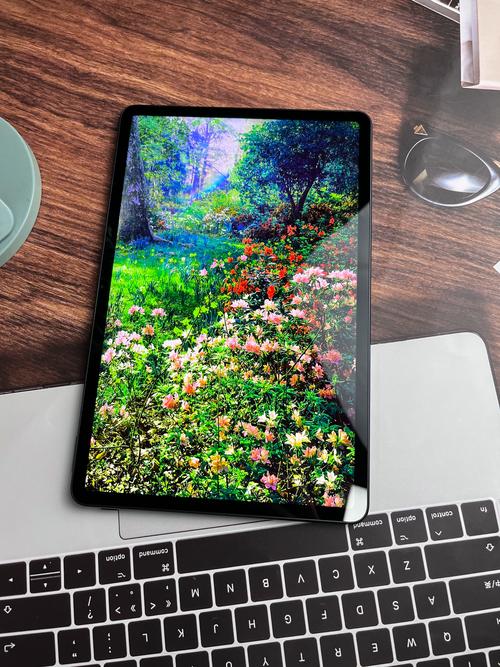 为什么客服不建议平板贴膜