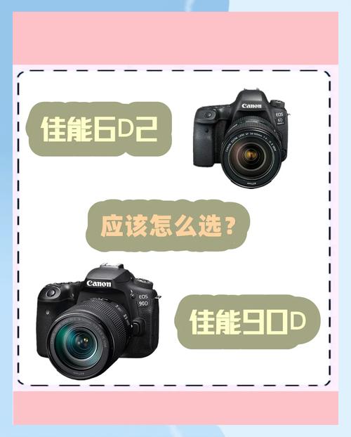 热销的4款佳能单反,哪款最值得入手?