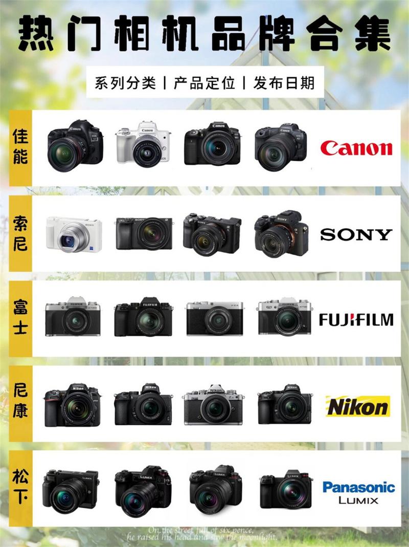 索尼微单和佳能或尼康单反入门机比较哪个好