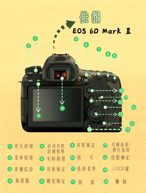 零基础学摄影从认识相机按键开始