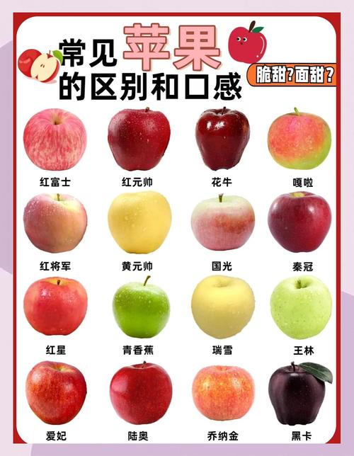 比较好吃苹果排名