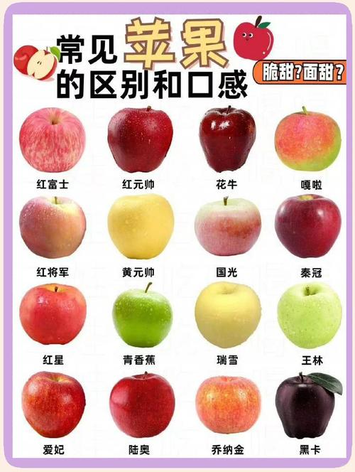 中国比较好吃的苹果排名