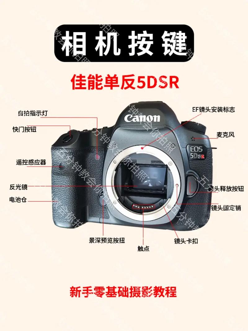 怎样评价佳能5ds和5dsr?