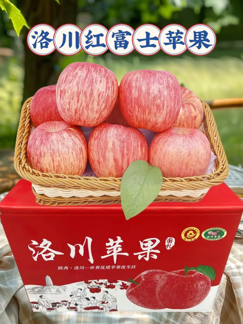 洛川苹果零售多少钱一斤