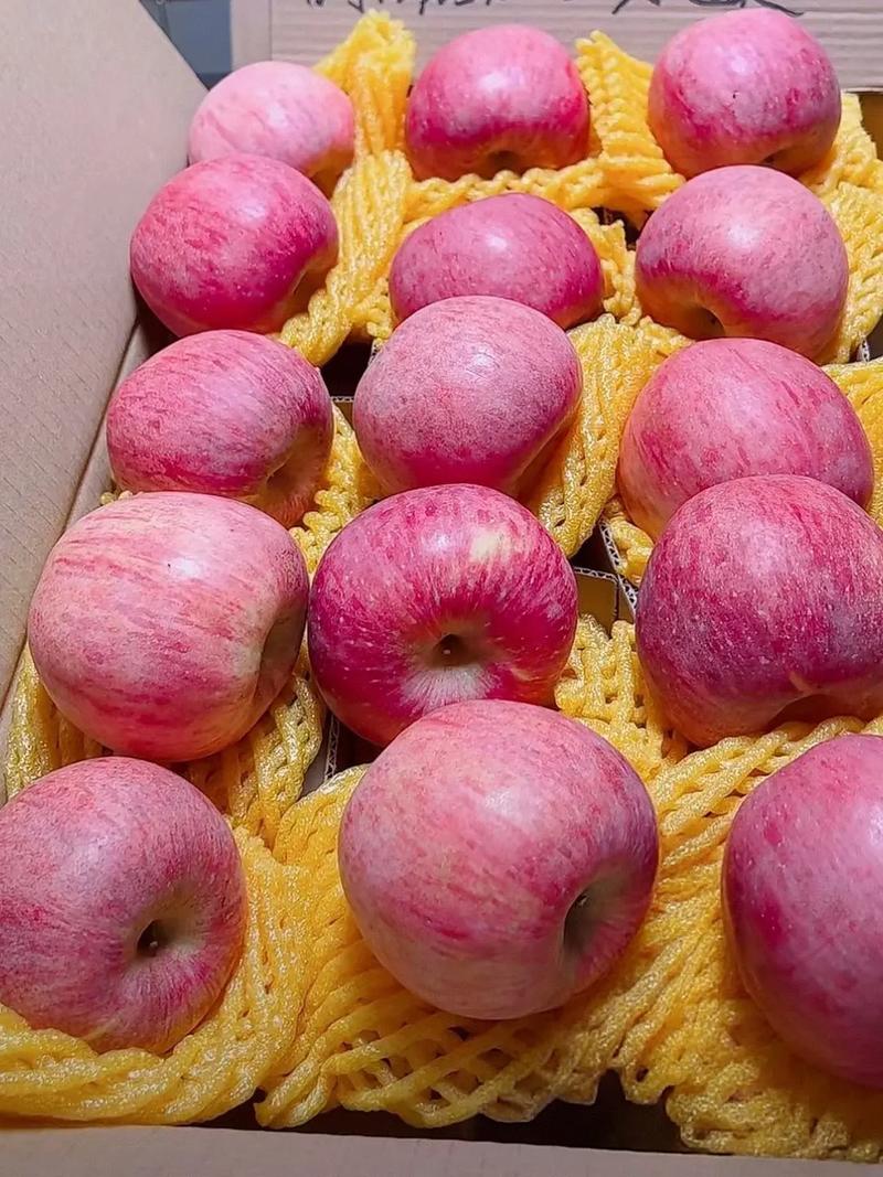 2025超市嘎啦苹果最贵多少钱一斤