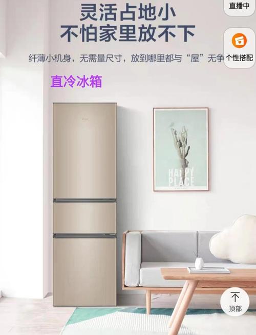 请教一下冰箱买风冷的好还是直冷的好?