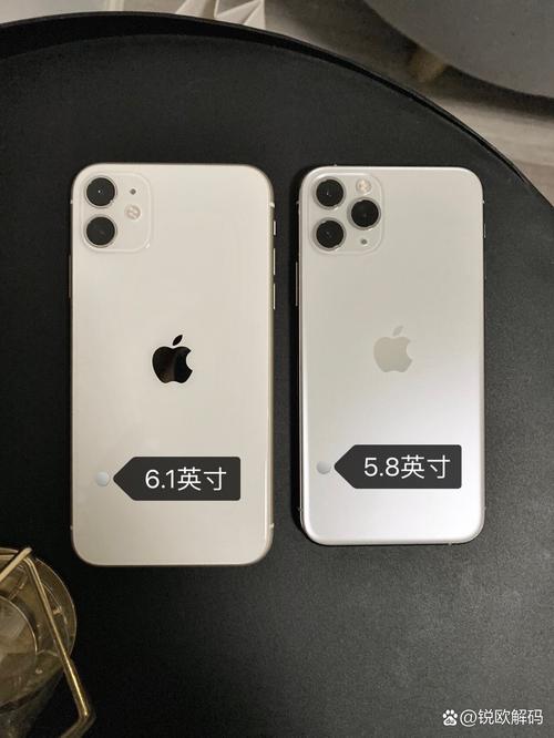 苹果11promax费用