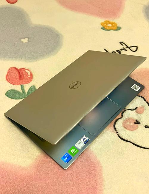 8年戴尔灵越老用户,换机依旧选取它——灵越14Pro『5』425