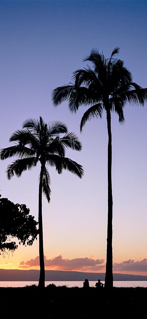 全能学霸好玩吗?全能学霸简介