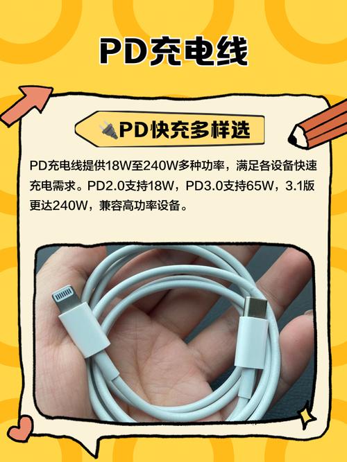 pd数据线是什么意思