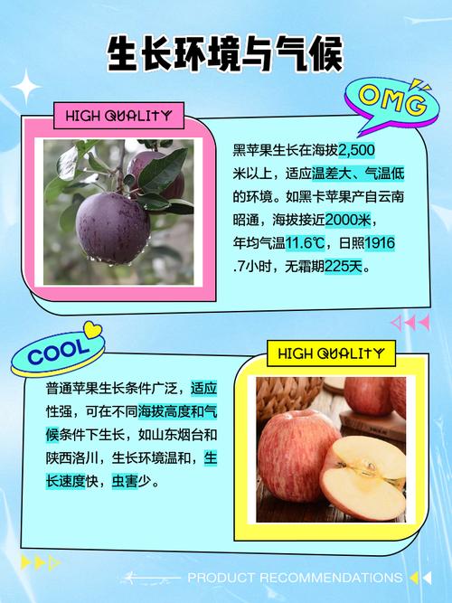 黑苹果和普通苹果的区别