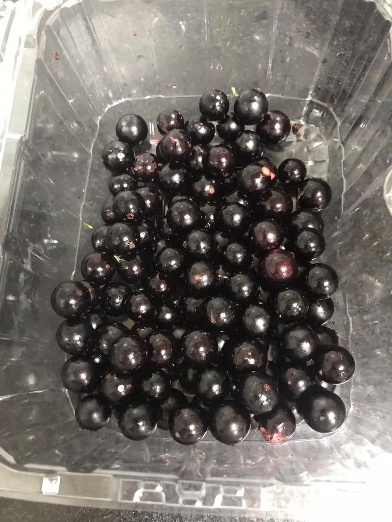 黑苹果的营养怎么样呢?