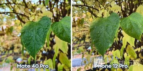 mate40pro和苹果13对比跑分