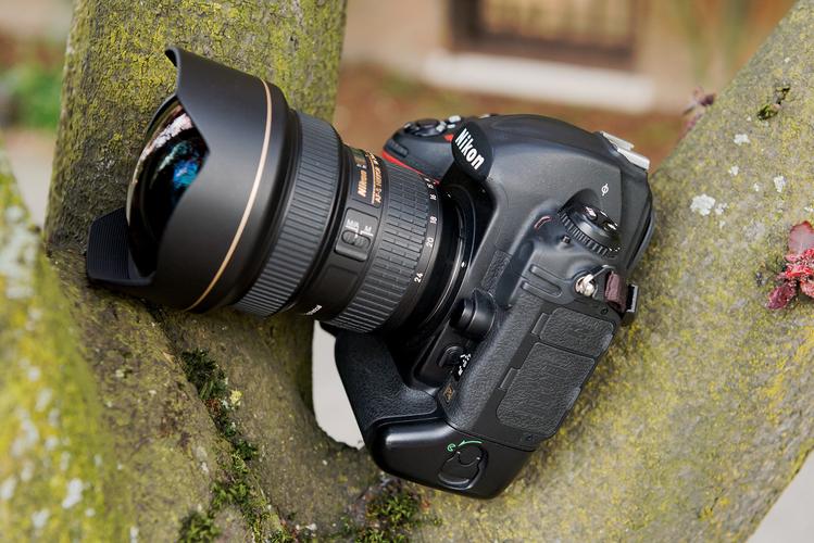 尼康D800E与尼康D3S哪个更好?有谁晓得?