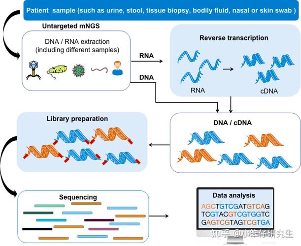 mngs是什么检测?