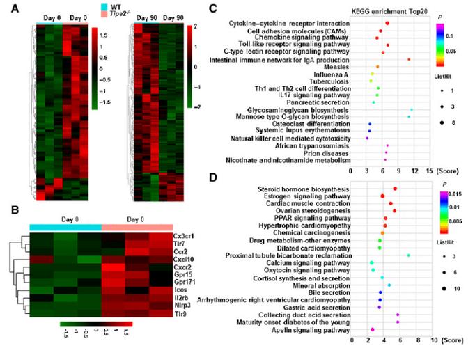 转录组测序/16s/宏基因组等多项技术探究结直肠癌抗肿瘤免疫应答_百度...