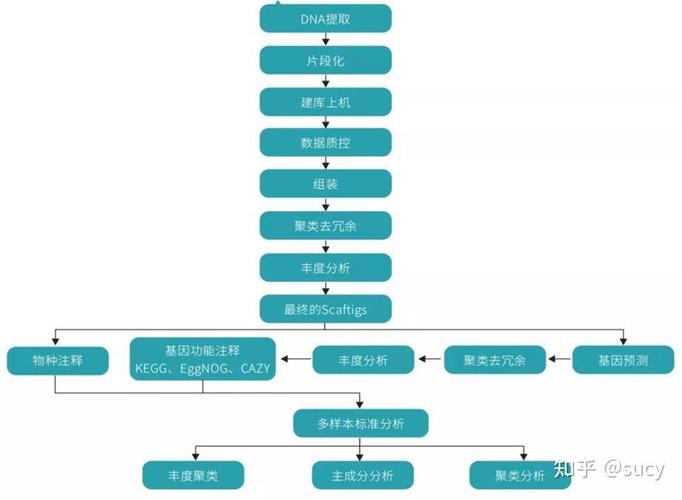 宏基组测序有没有深度概念