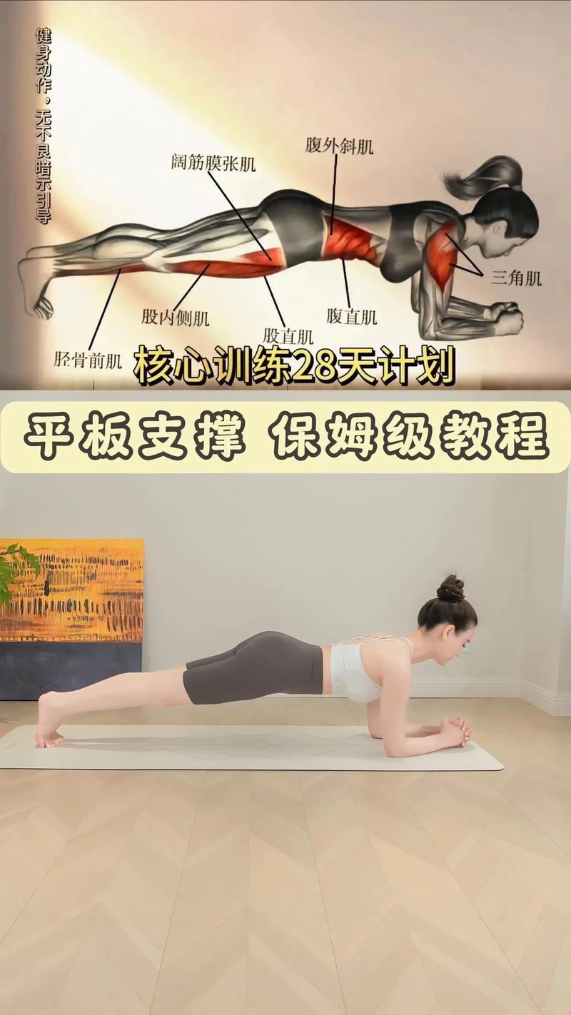 每天2分钟平板支撑一个月瘦几斤