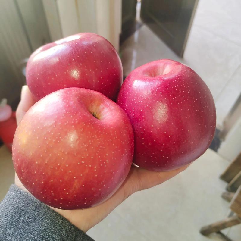 一个苹果一般是多少元