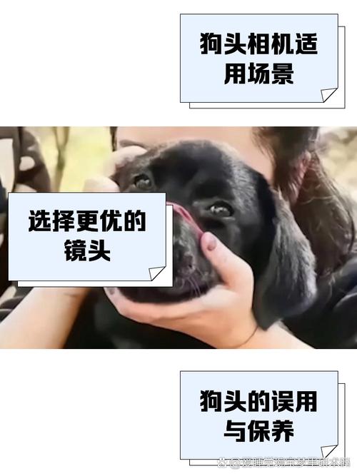 佳能18『1』35算狗头么?有什么不好?