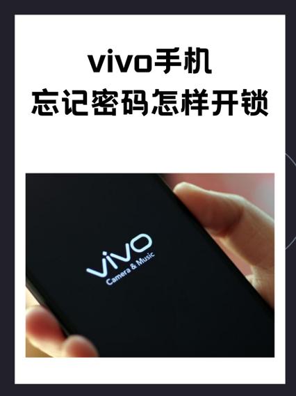 vivo官方账号密码共享