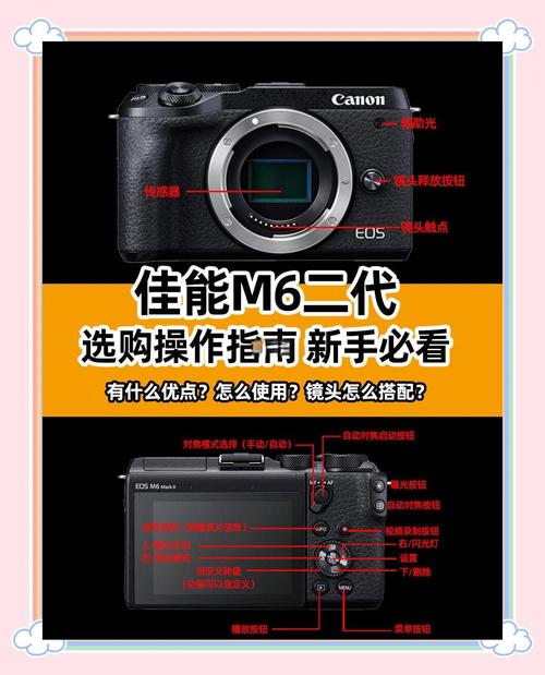 佳能和尼康单反哪个好