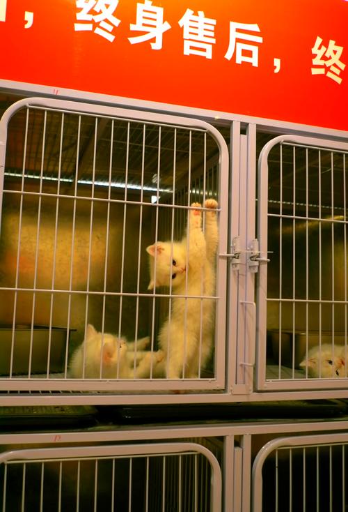 徕卡x1如何设置微距拍摄