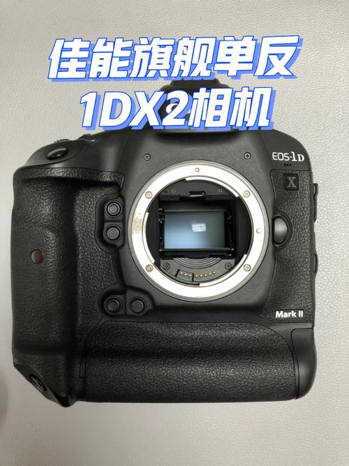 sony高感没有尼康佳能好吗为什么高感不重要