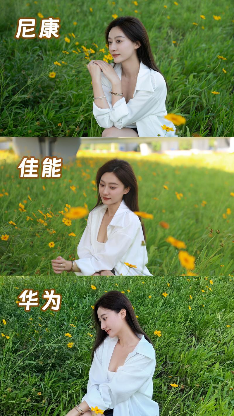 手机和相机哪个接近真人