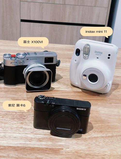 纯拍照的徕卡数码相机哪款最值得买