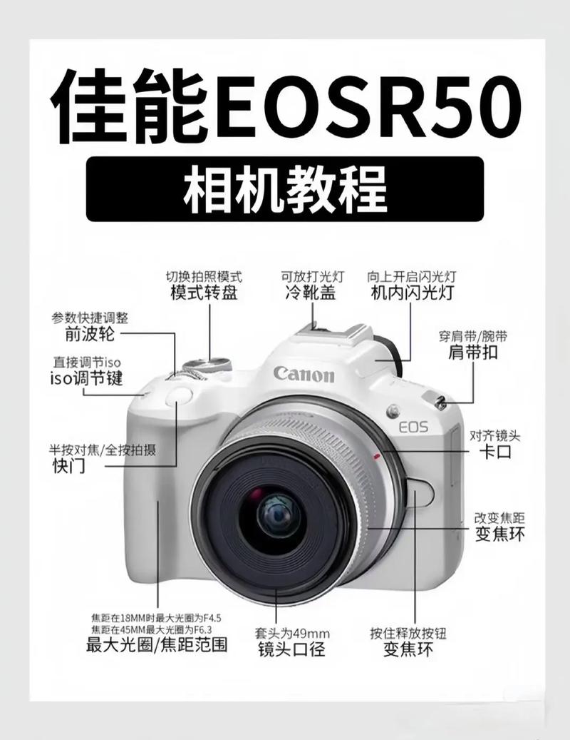 佳能5050怎么打自检