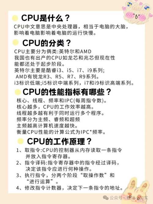 计算机CPU的基本功能是什么