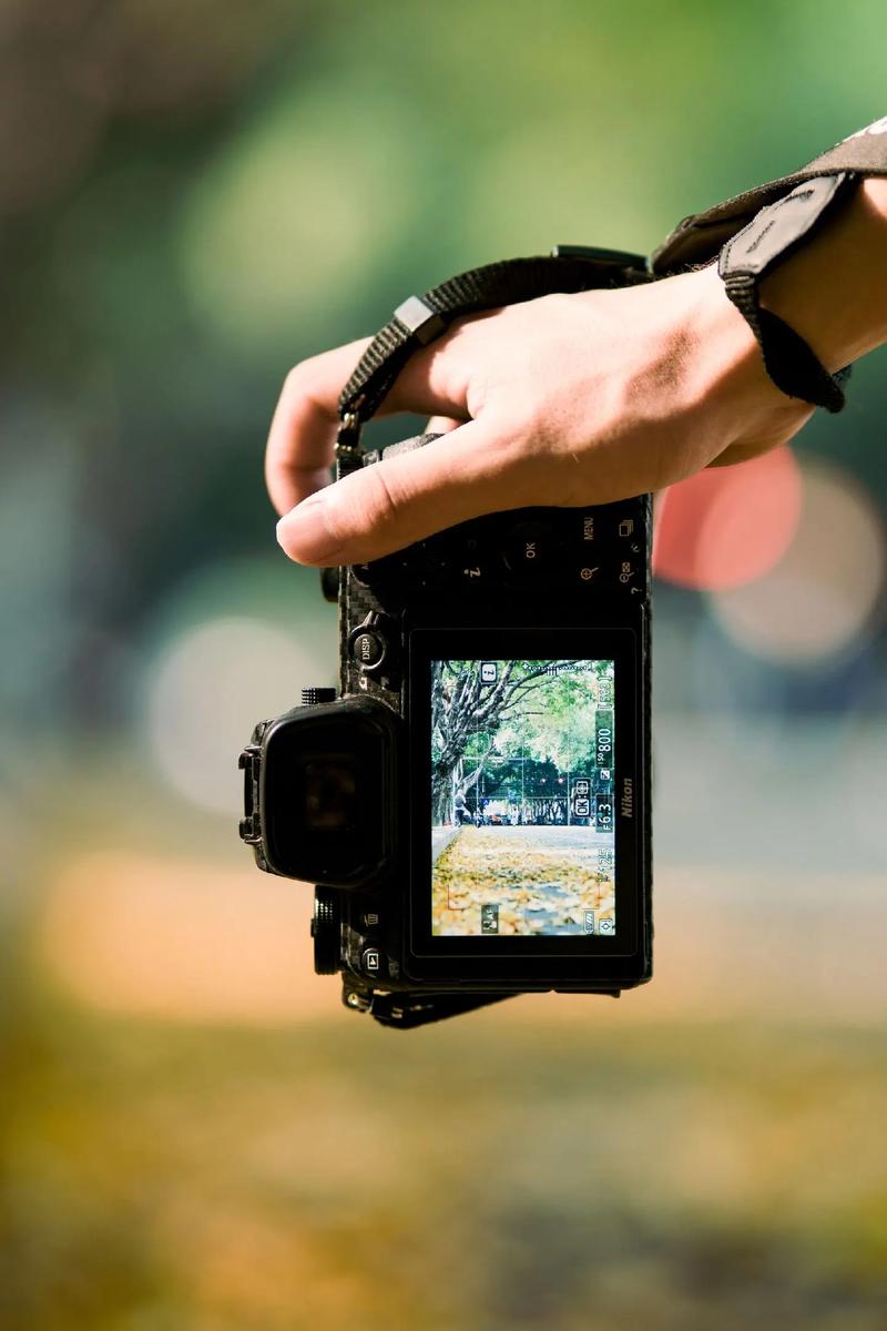 佳能6d2相机属性哪个