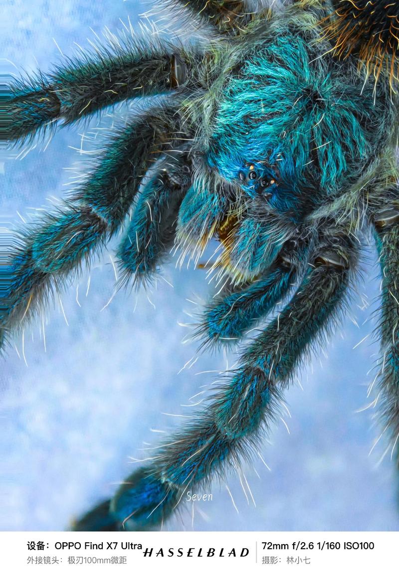 常见的副厂镜头有哪些