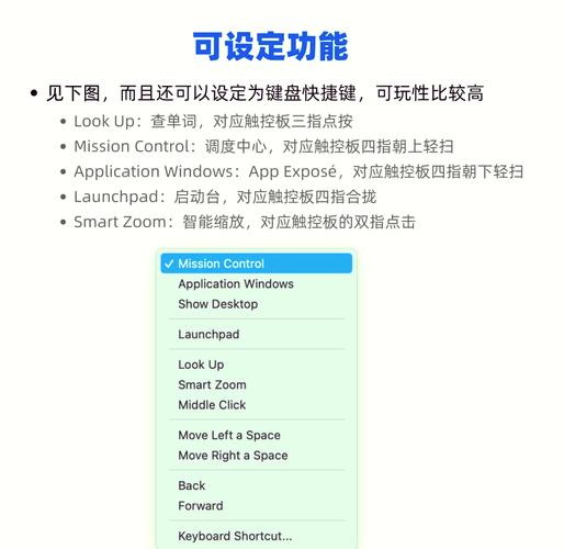 我的鼠标怎么右键可以动,而左键怎么按都没反应?