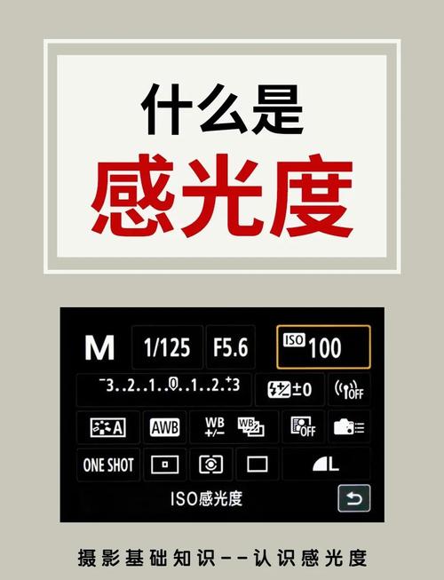 怎样使用佳能500D使用技巧指南