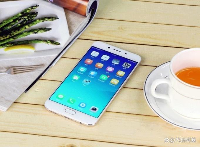 opopr9st参数,oppor9t参数