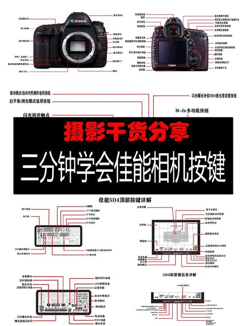 佳能eos1300d怎么自动对焦