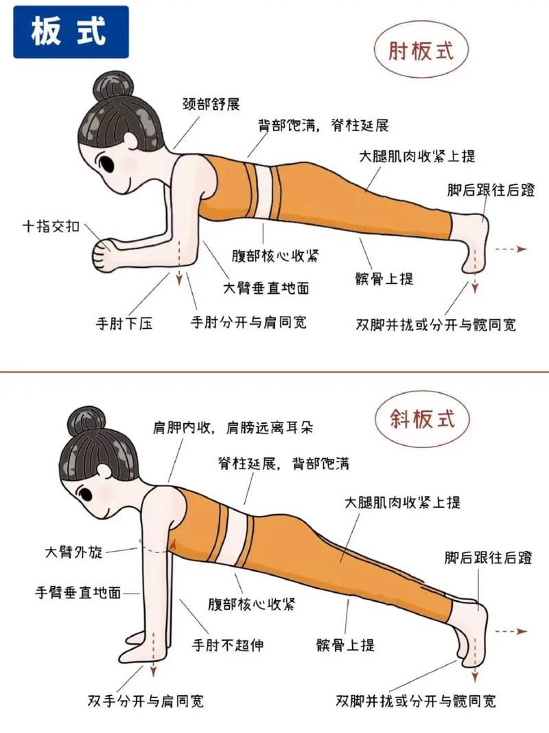 平板支撑能减肥吗