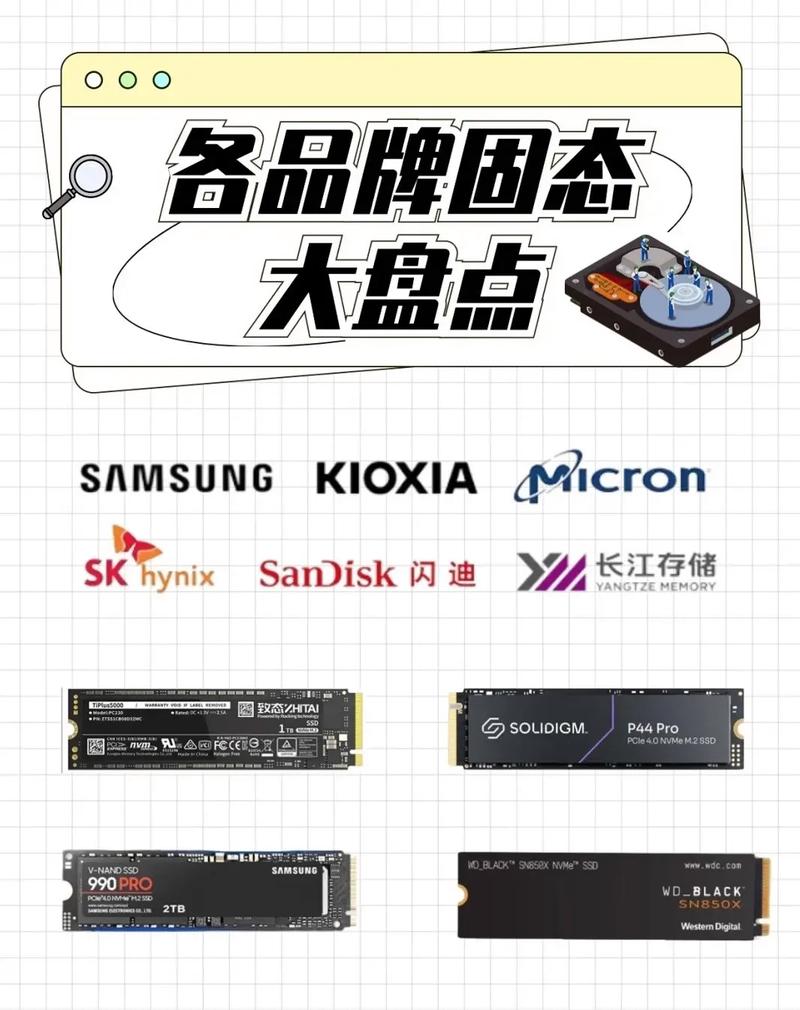 固态硬盘排名前十的品牌