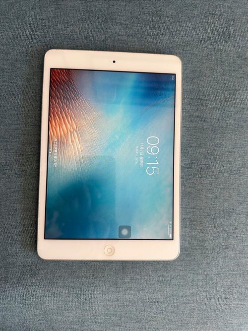 同型号同版本同成色同费用的iPad2与iPadmini1,买哪个更好?说说...