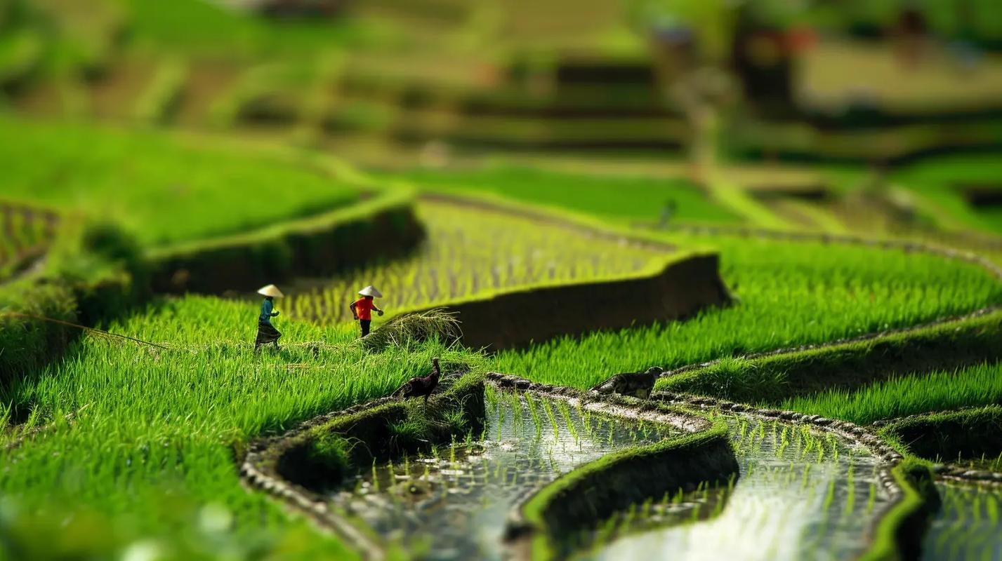 怎么拍移轴摄影